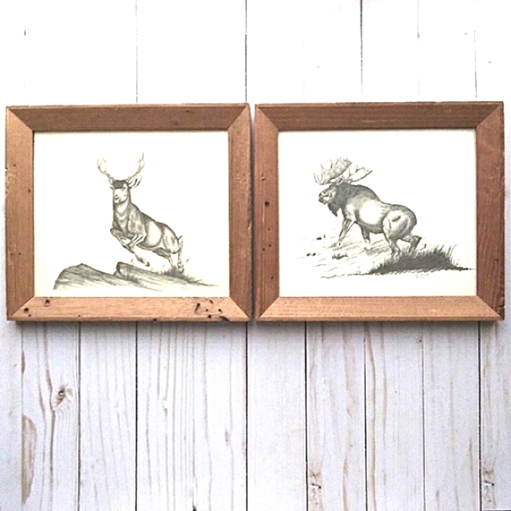 SET OF 2 VINTAGE WILDLIFE PENCIL PRINTS SIGNED BY AMERICAN ARTIST S.M. COULTHARD